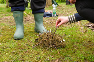 Someone's hands pictured building a hedgehog from grass and twigs